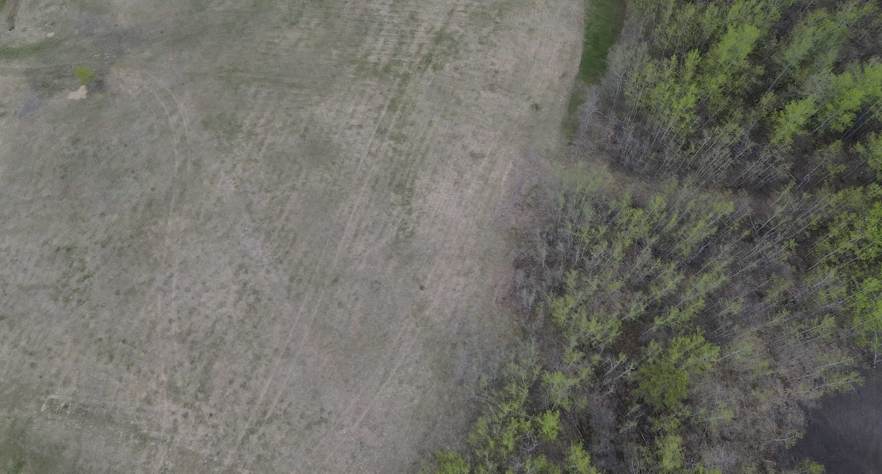 Mulching & Site Grading — Below Grade Construction project photo