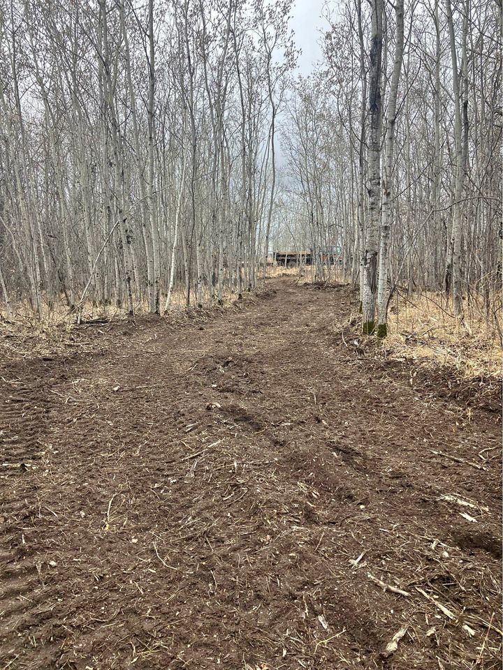 Mulching & Site Grading — Below Grade Construction project photo